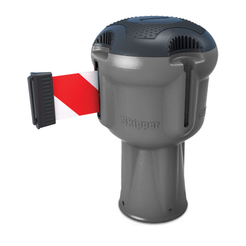 Grijze Skipper kegeltop